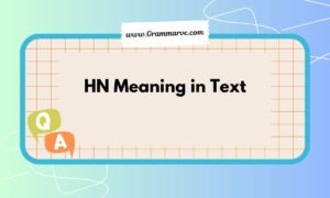 HN Meaning in Text