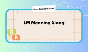 LM Meaning Slang: What It Really Means in Texts and Chats