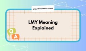 LMY Meaning Explained